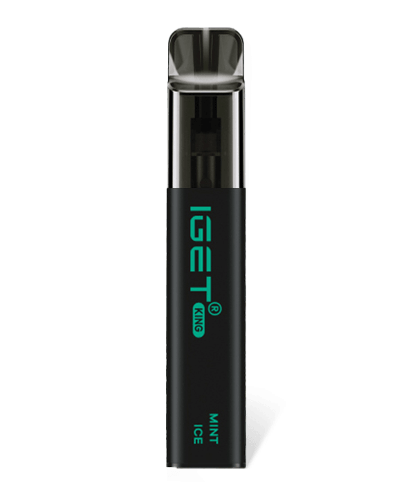 elfbar elfa master akku Hot 5500 Price IGET BAR PLUS S3 Pod Wholesale main image 1